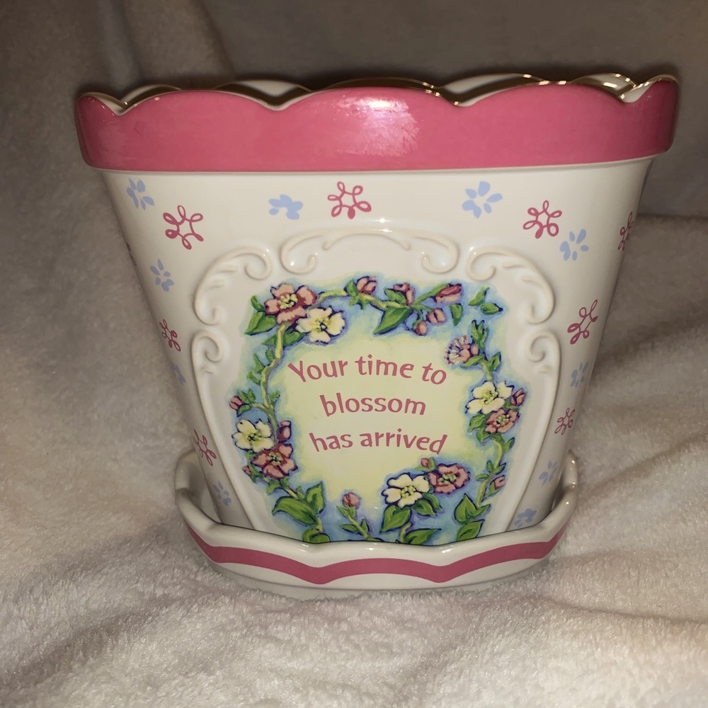 Comfort Queens Pot for Plants or Pens😊